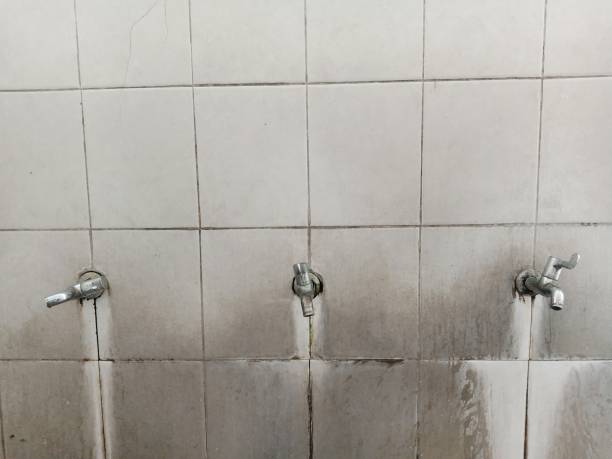 Best Flood damage cleanup  in Bedford Heights, OH