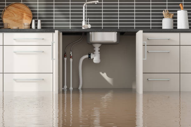  Bedford Heights, OH Water damage restoration Pros